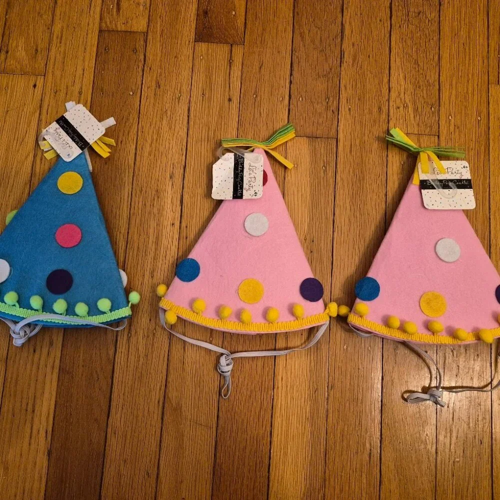 3 NEW Felt Kids Party Hats